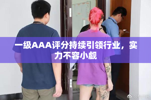 一级AAA评分持续引领行业，实力不容小觑