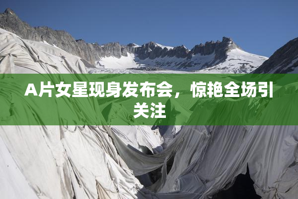 A片女星现身发布会，惊艳全场引关注