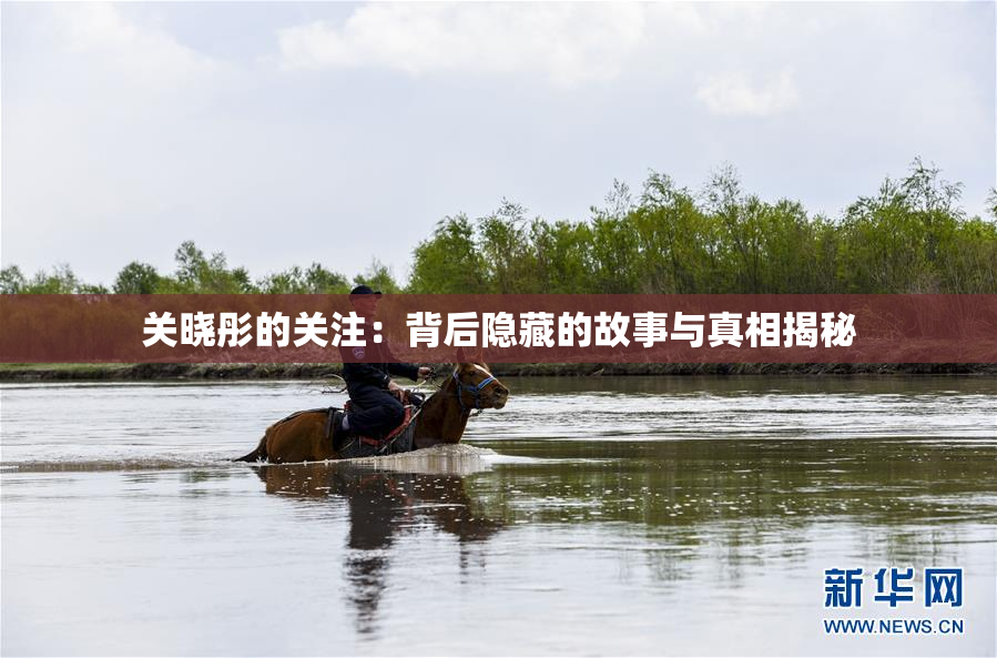关晓彤的关注：背后隐藏的故事与真相揭秘