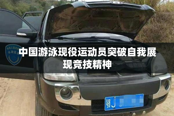 中国游泳现役运动员突破自我展现竞技精神