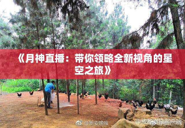《月神直播：带你领略全新视角的星空之旅》
