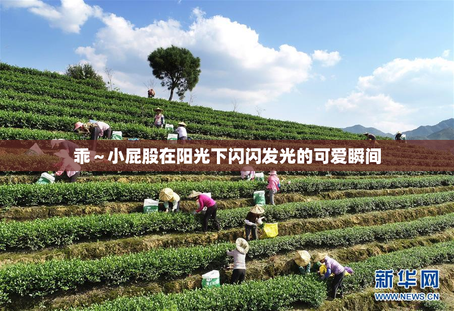 乖～小屁股在阳光下闪闪发光的可爱瞬间