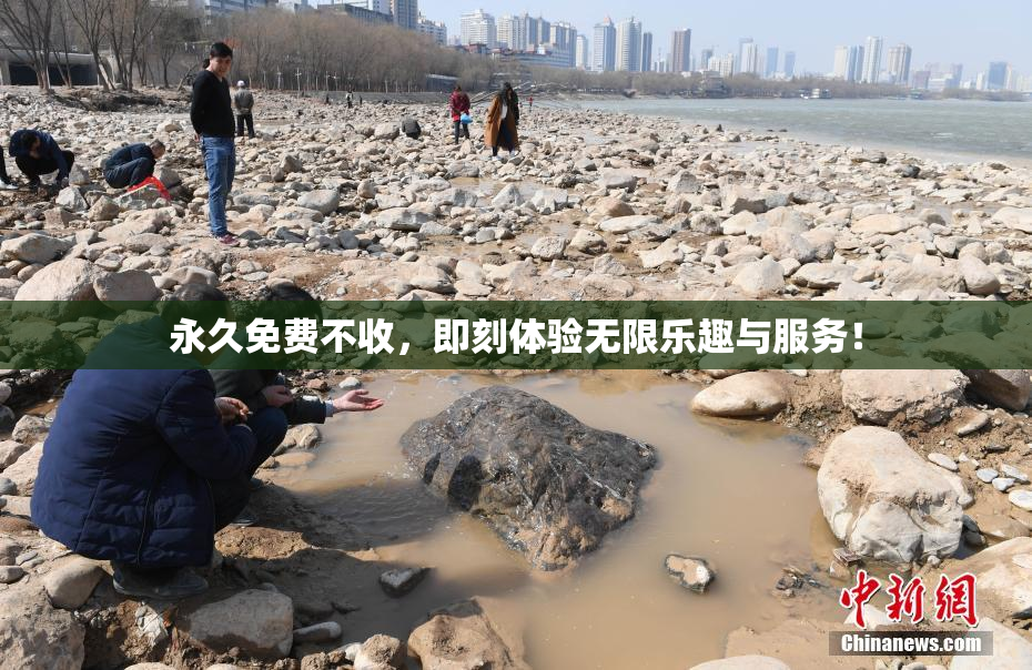 永久免费不收，即刻体验无限乐趣与服务！