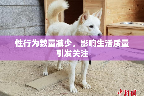 性行为数量减少，影响生活质量引发关注