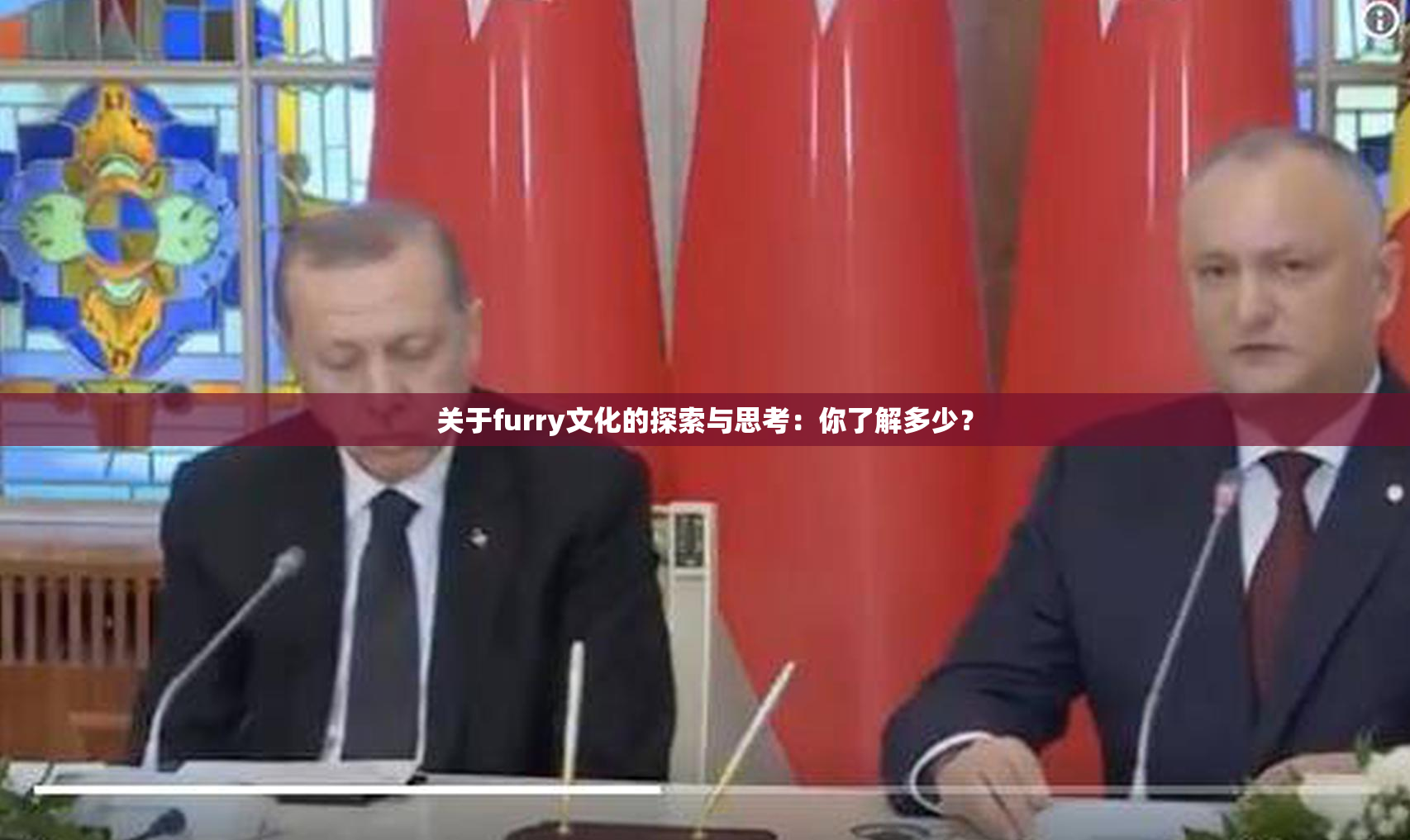 关于furry文化的探索与思考：你了解多少？