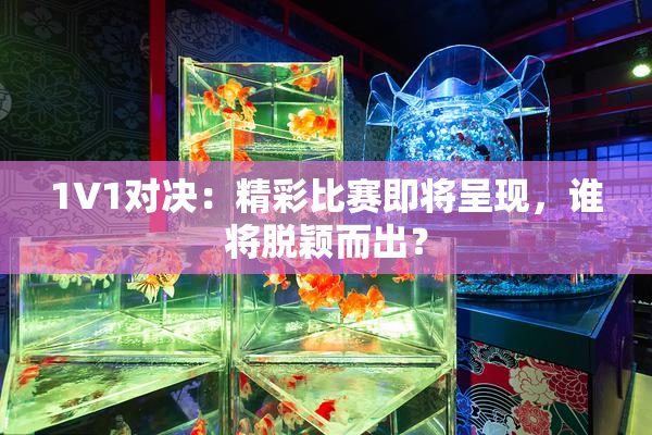 1V1对决：精彩比赛即将呈现，谁将脱颖而出？