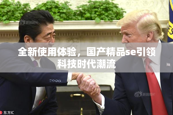 全新使用体验，国产精品se引领科技时代潮流