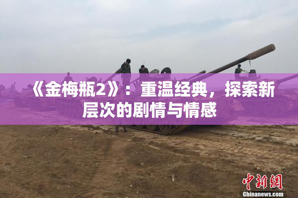 《金梅瓶2》：重温经典，探索新层次的剧情与情感