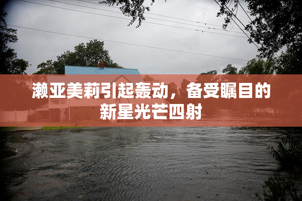 濑亚美莉引起轰动，备受瞩目的新星光芒四射