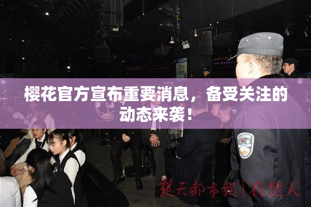樱花官方宣布重要消息，备受关注的动态来袭！