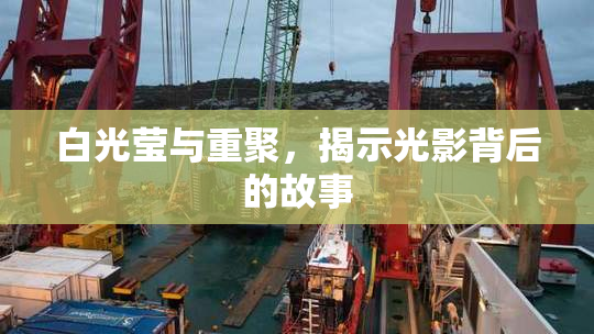 白光莹与重聚，揭示光影背后的故事