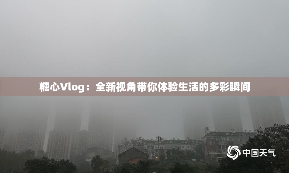 糖心Vlog：全新视角带你体验生活的多彩瞬间