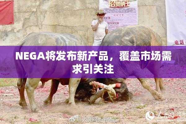 NEGA将发布新产品，覆盖市场需求引关注
