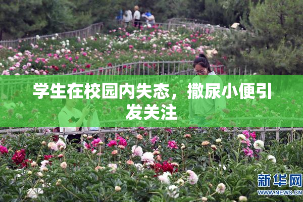 学生在校园内失态，撒尿小便引发关注