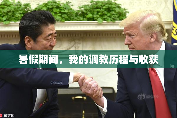 暑假期间，我的调教历程与收获