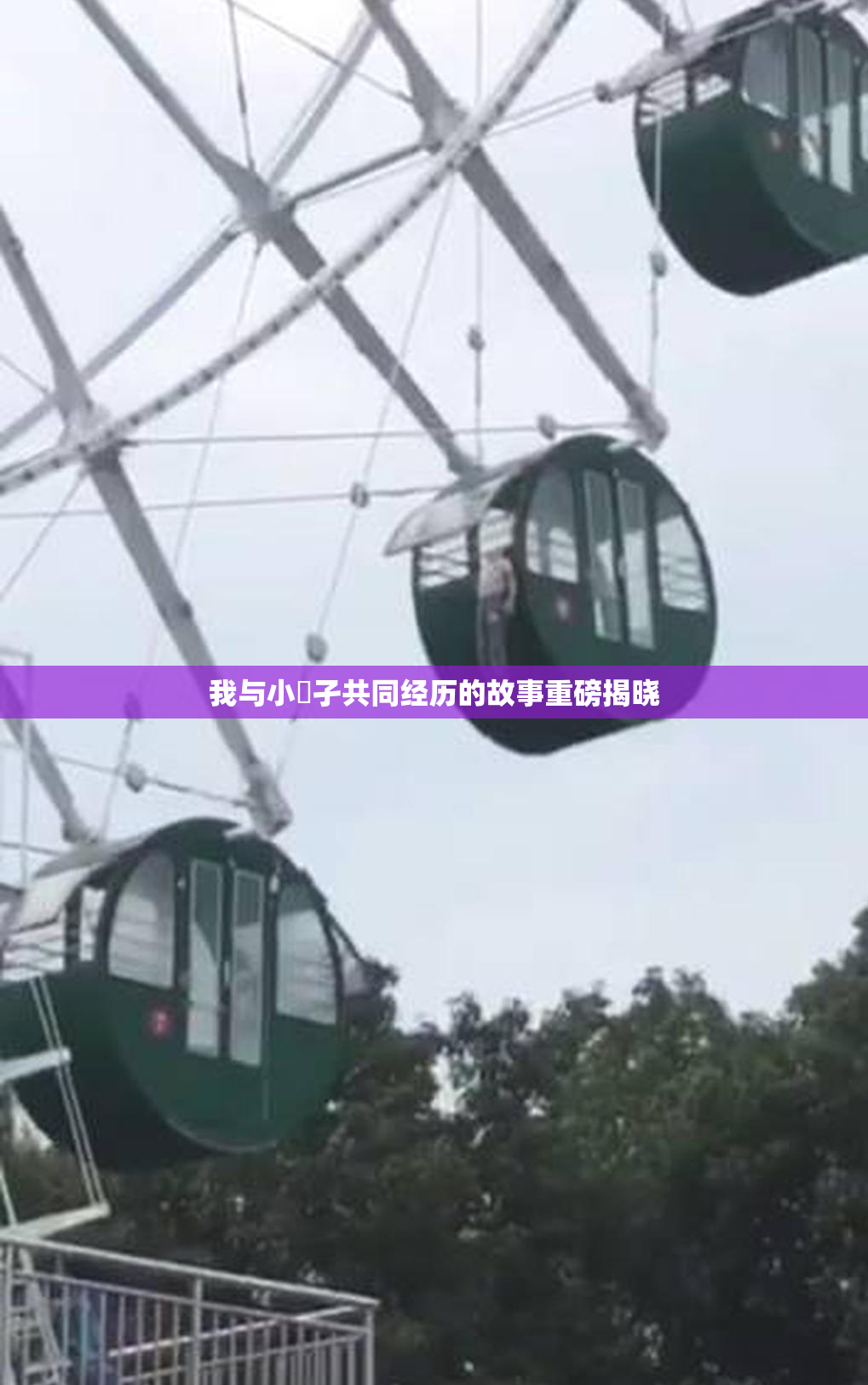 我与小娻孑共同经历的故事重磅揭晓