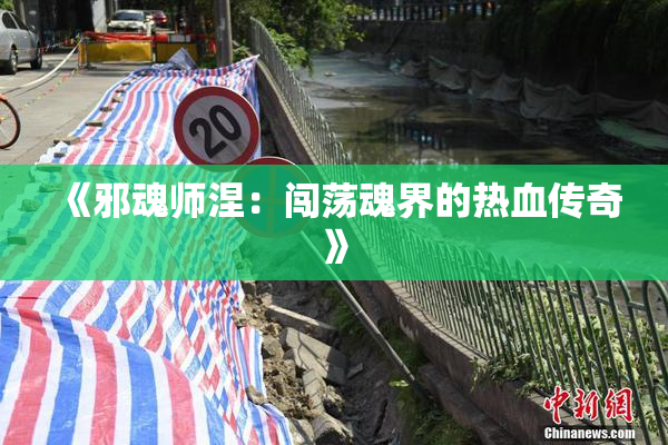 《邪魂师涅：闯荡魂界的热血传奇》