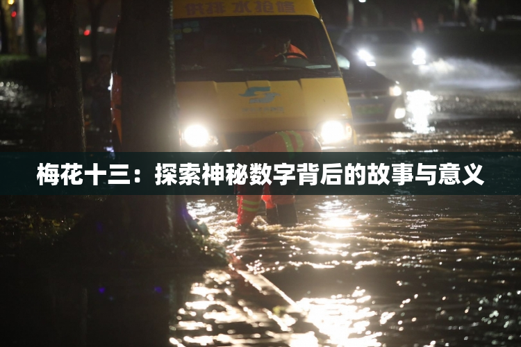 梅花十三：探索神秘数字背后的故事与意义