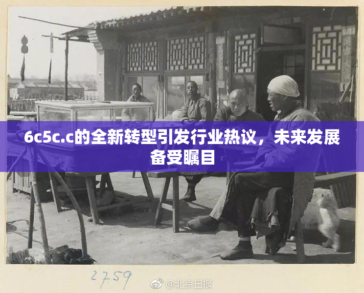 6c5c.c的全新转型引发行业热议，未来发展备受瞩目