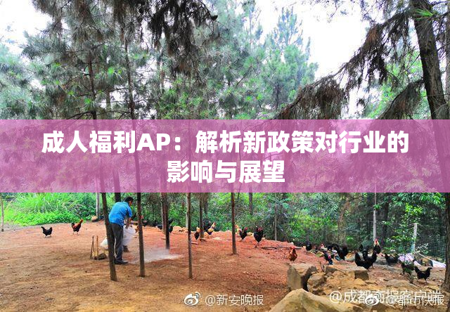 成人福利AP：解析新政策对行业的影响与展望