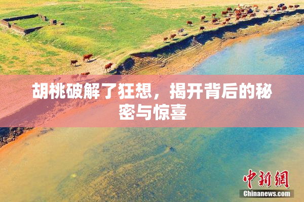 胡桃破解了狂想，揭开背后的秘密与惊喜