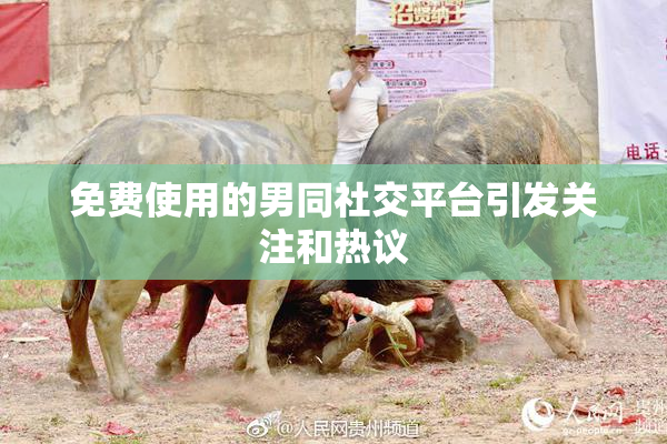 免费使用的男同社交平台引发关注和热议