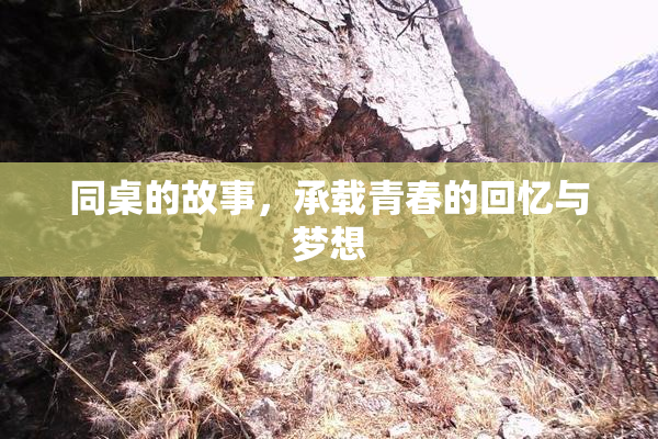 同桌的故事，承载青春的回忆与梦想