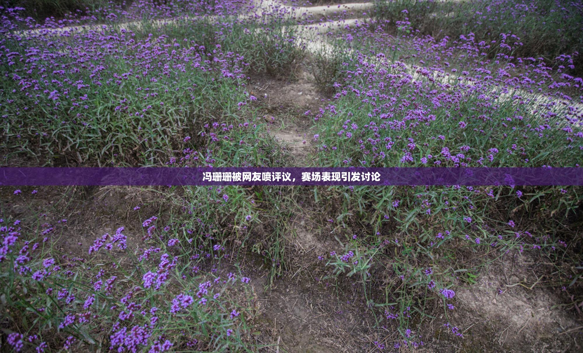 冯珊珊被网友喷评议，赛场表现引发讨论