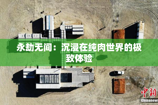 永劫无间：沉浸在纯肉世界的极致体验
