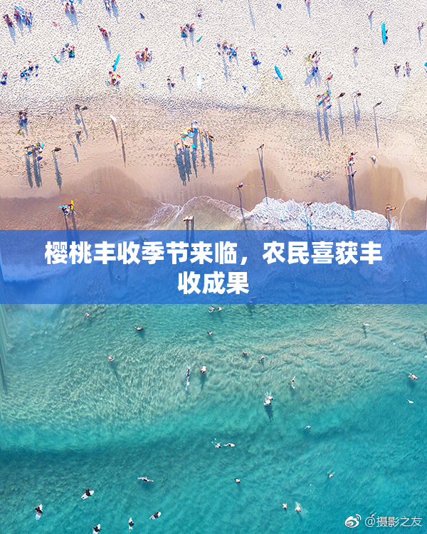 樱桃丰收季节来临，农民喜获丰收成果