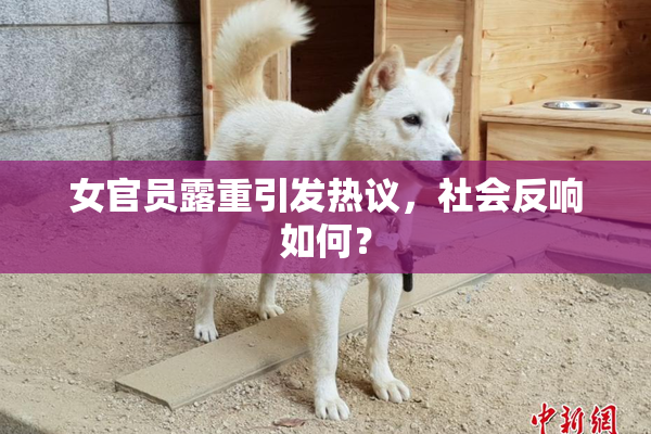 女官员露重引发热议，社会反响如何？