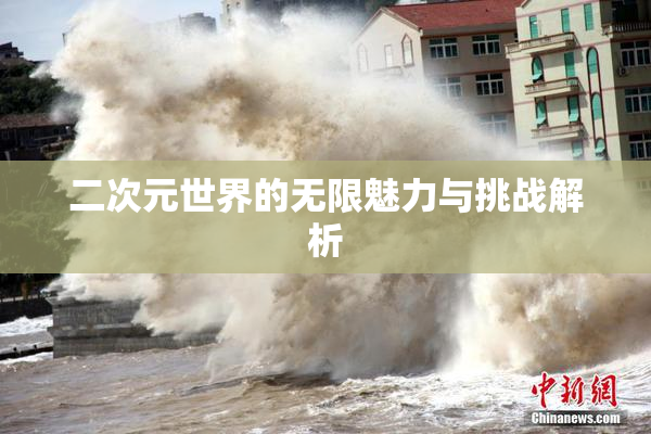 二次元世界的无限魅力与挑战解析