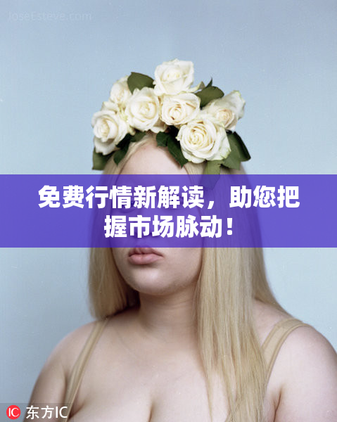 免费行情新解读，助您把握市场脉动！