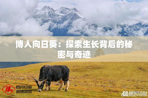 博人向日葵：探索生长背后的秘密与奇迹
