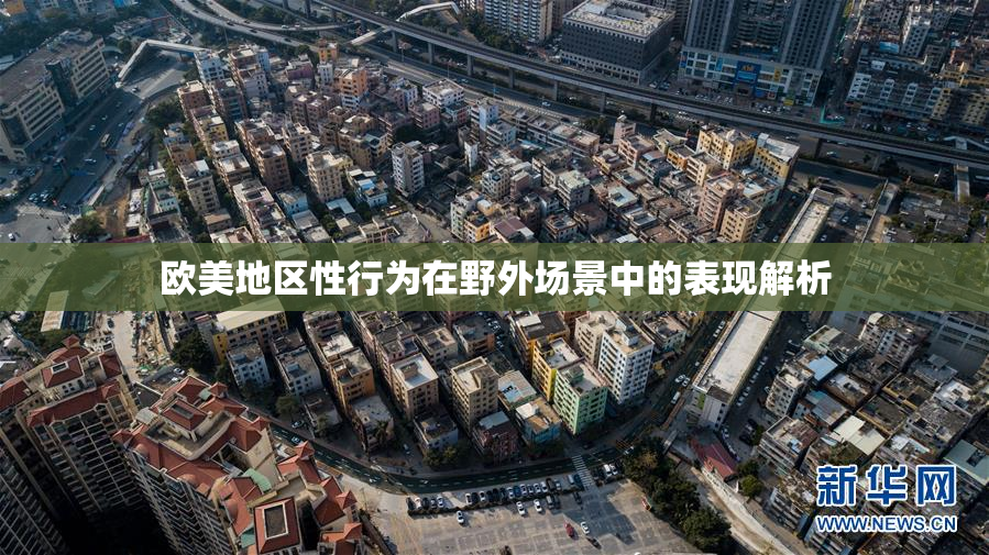 欧美地区性行为在野外场景中的表现解析