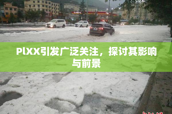 PlXX引发广泛关注，探讨其影响与前景