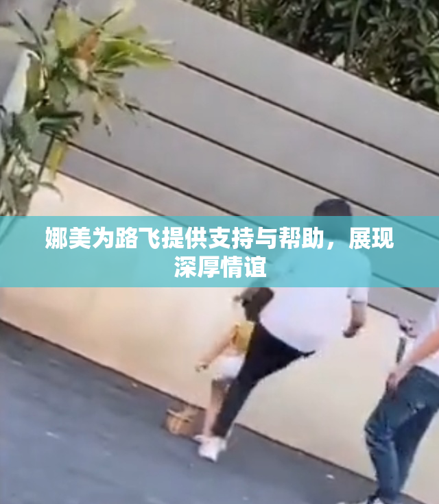 娜美为路飞提供支持与帮助，展现深厚情谊