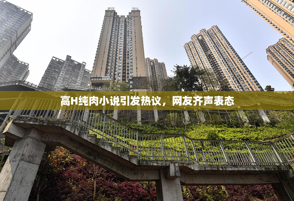 高H纯肉小说引发热议，网友齐声表态