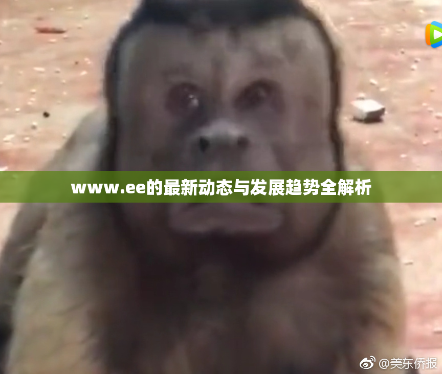 www.ee的最新动态与发展趋势全解析