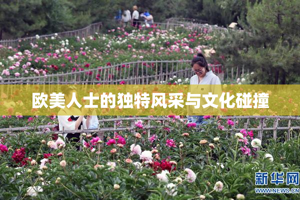 欧美人士的独特风采与文化碰撞