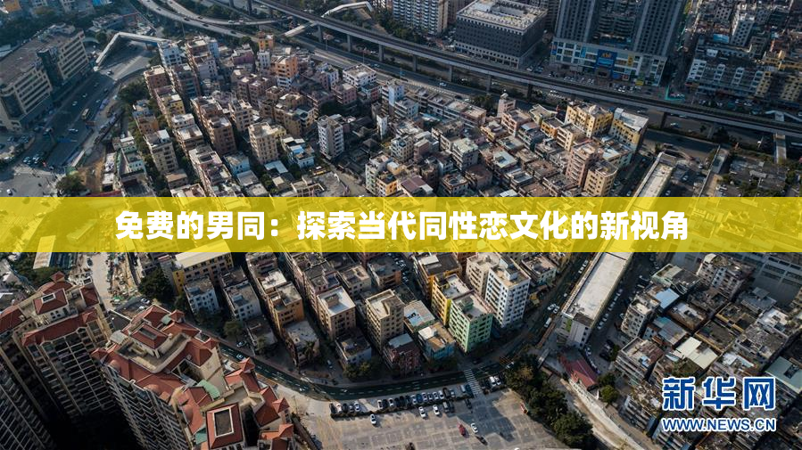 免费的男同：探索当代同性恋文化的新视角
