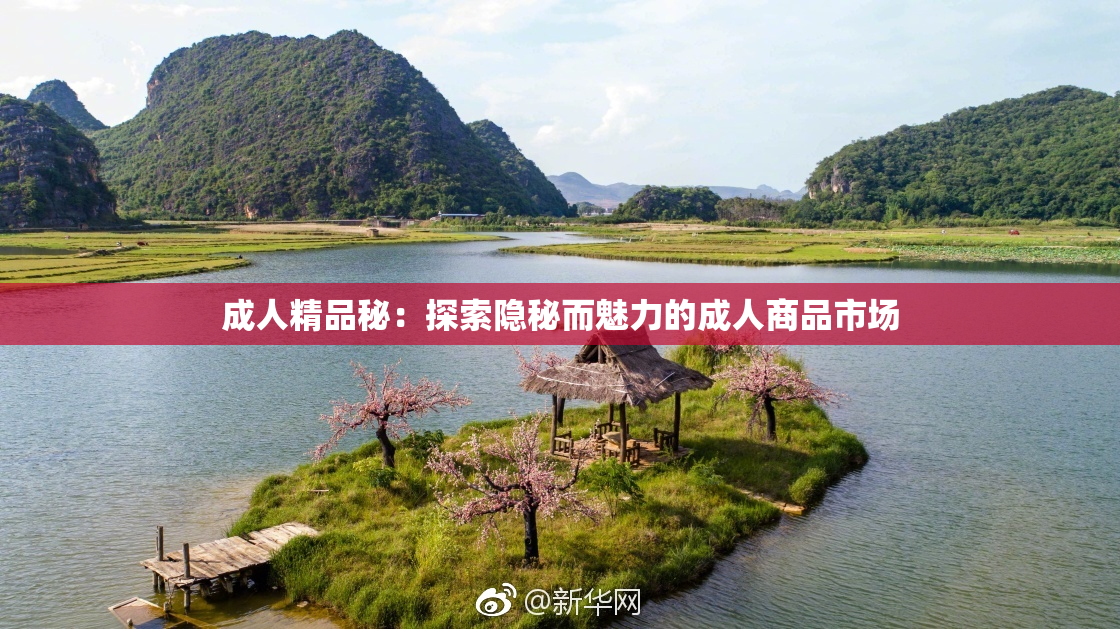 成人精品秘：探索隐秘而魅力的成人商品市场