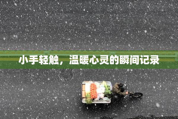 小手轻触，温暖心灵的瞬间记录