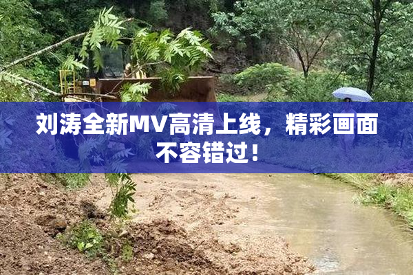 刘涛全新MV高清上线，精彩画面不容错过！