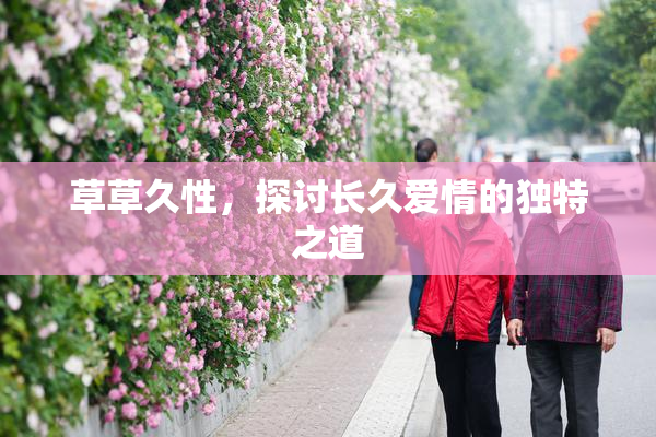 草草久性，探讨长久爱情的独特之道
