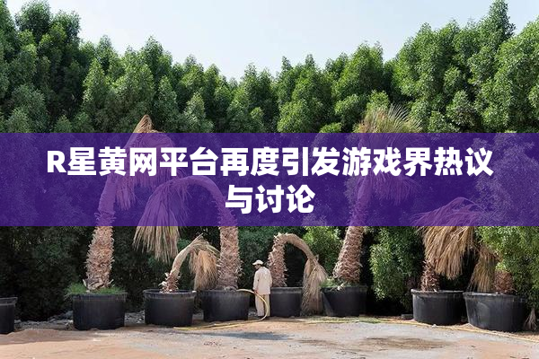 R星黄网平台再度引发游戏界热议与讨论