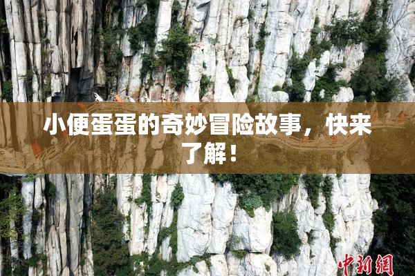 小便蛋蛋的奇妙冒险故事，快来了解！