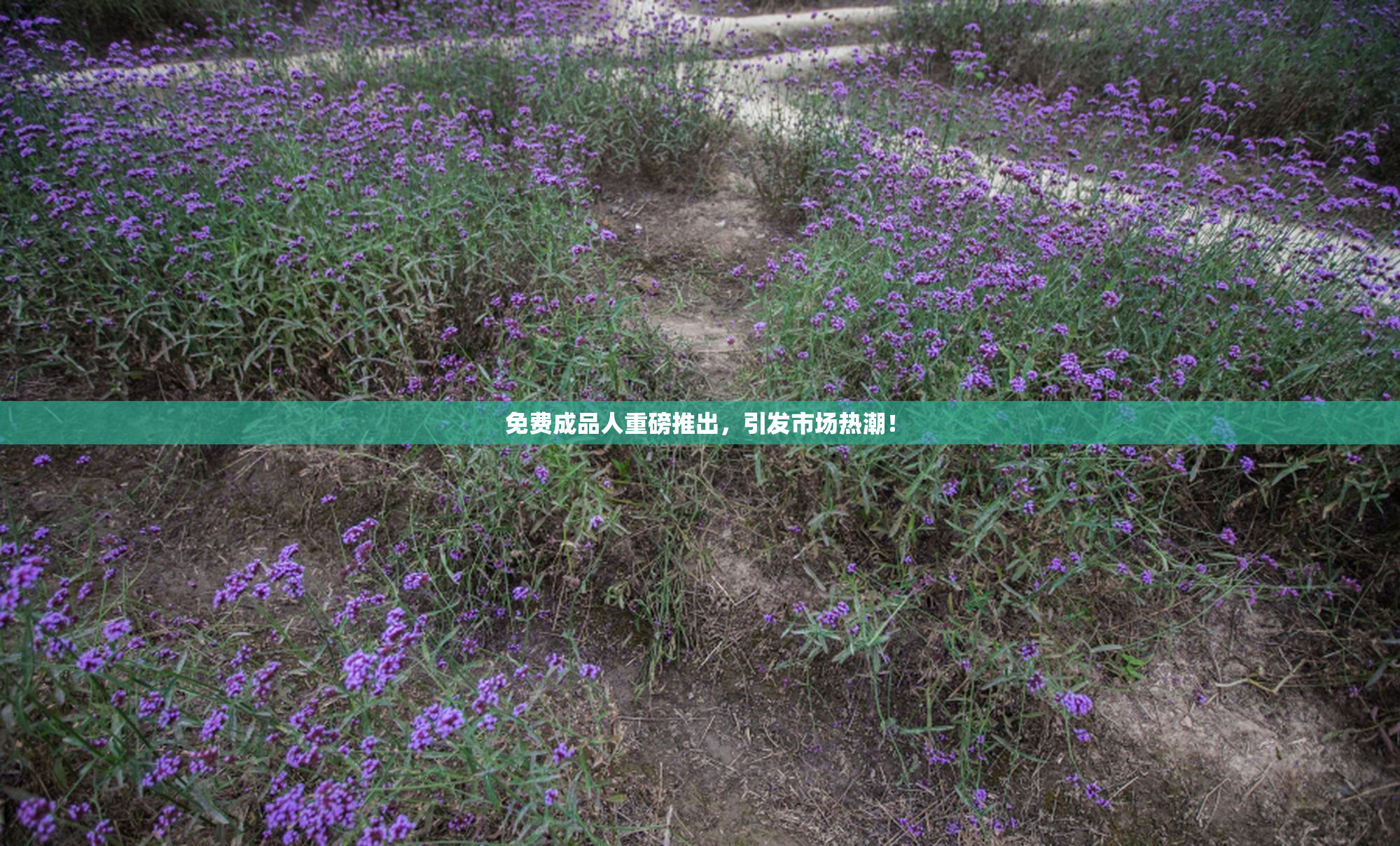 免费成品人重磅推出，引发市场热潮！