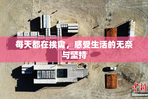 每天都在挨龠，感受生活的无奈与坚持