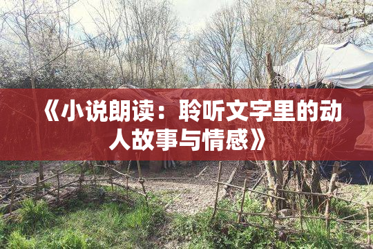 《小说朗读：聆听文字里的动人故事与情感》
